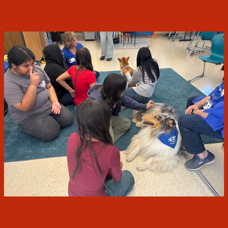 Kory is lying down as a Wildcat reaches out to pet him
