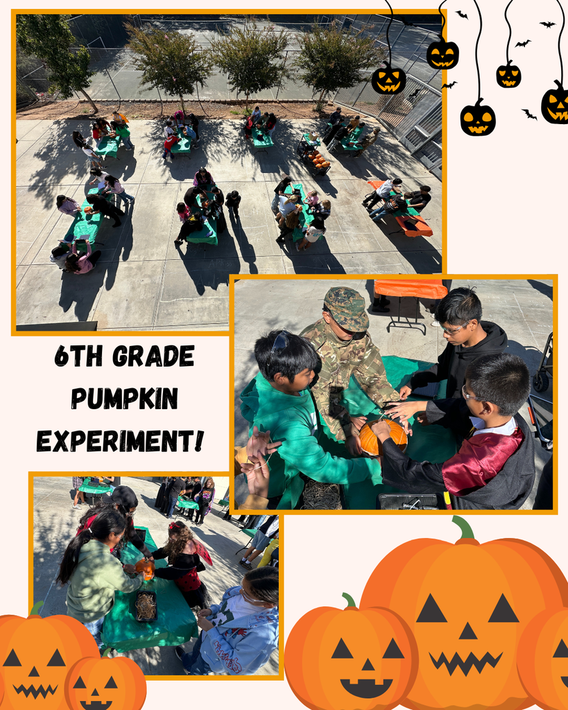 Pictures of the 6th grade pumpkin experiment.