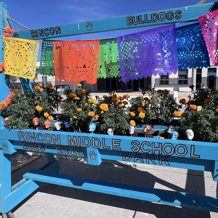 planter created my advanced art 