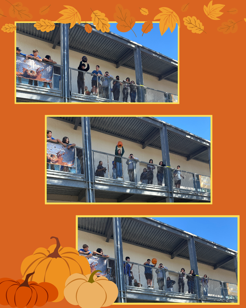 Pictures of BVMS annual Pumpkin Splat