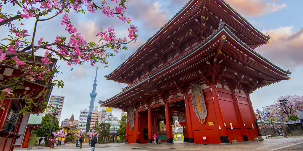 Spring 2027 South Korea and Japan Tour with Mrs. Murphy and the Quark Travel Club