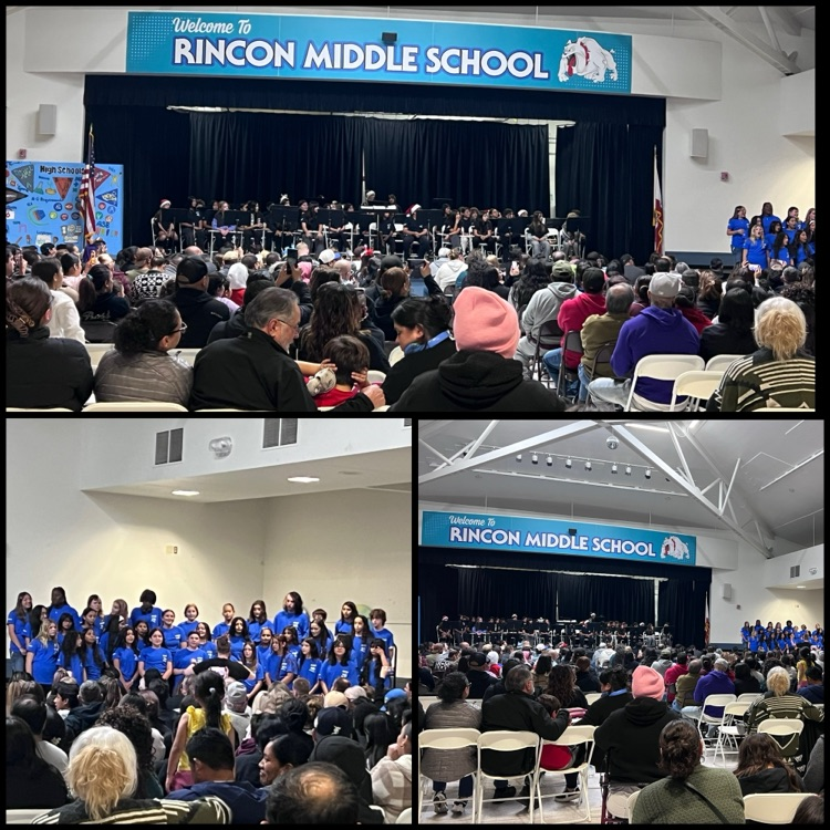 winter concert collage of photos