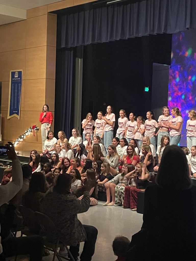 Picture of BVMS Dance Team