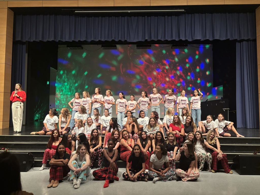 Picture of BVMS Dance Team