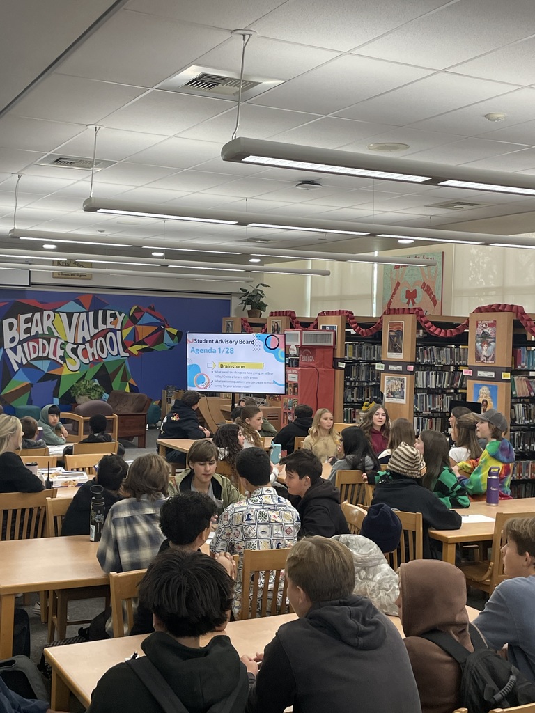 Students working together at our student advisory board