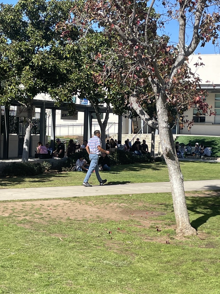 Students and families eating in the shade