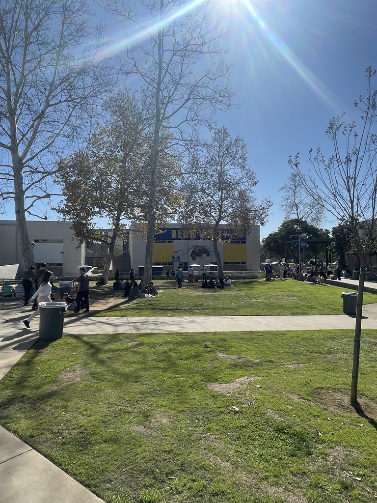 Students and families eating on the grass