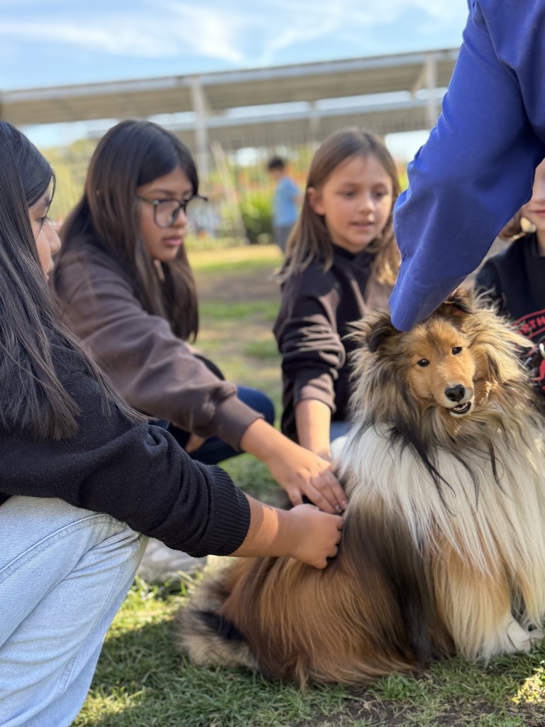 three girls petting a dog
