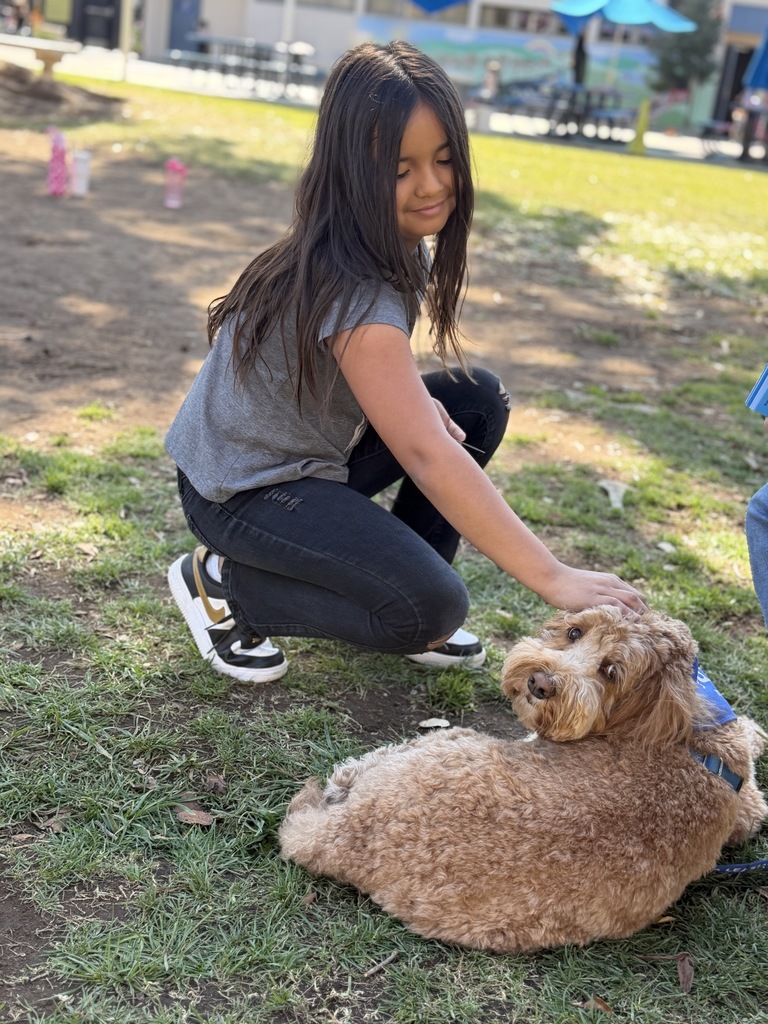 a girl petting a dog