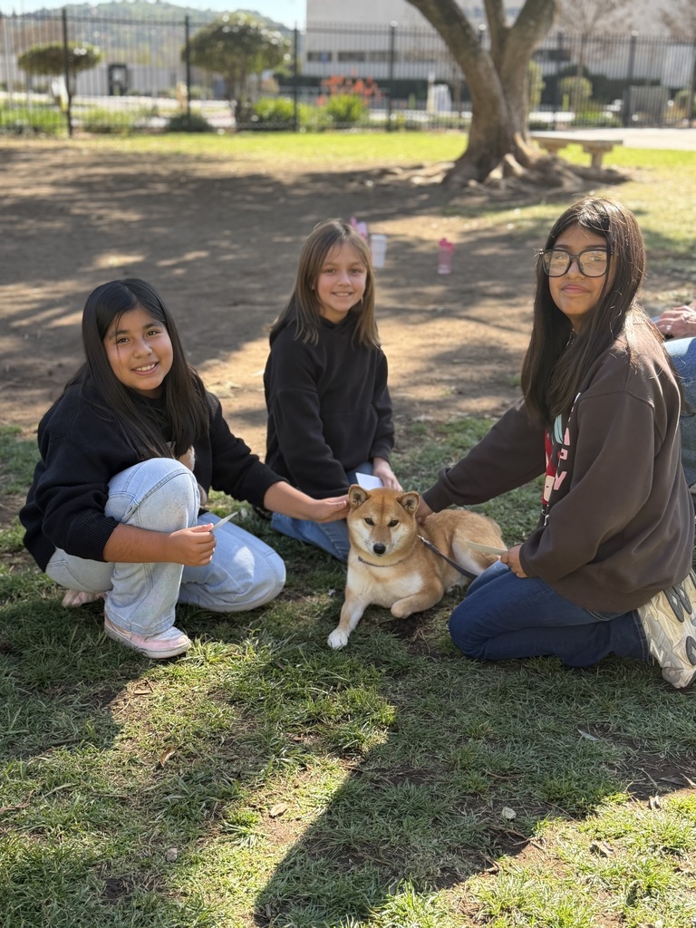 three girls petting a dog