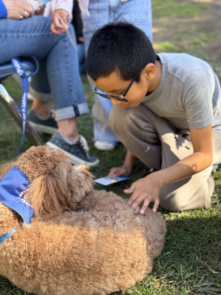 a boy petting a dog