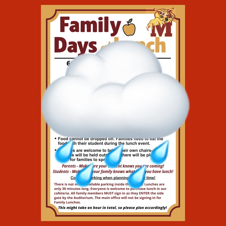 An English language flyer for Family Days at Lunch showing a rain emoji indicating cancellation due to weather