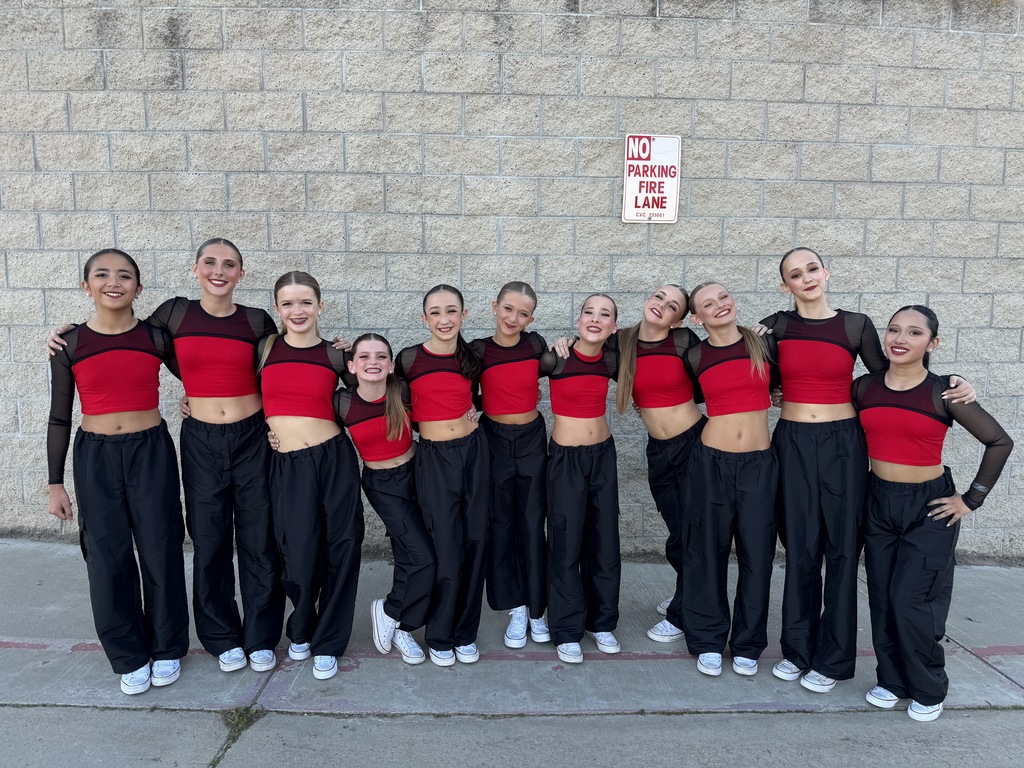 BMVS Dance Team Members