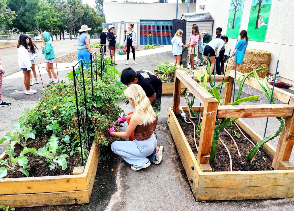Students & volunteers gardening behind the school