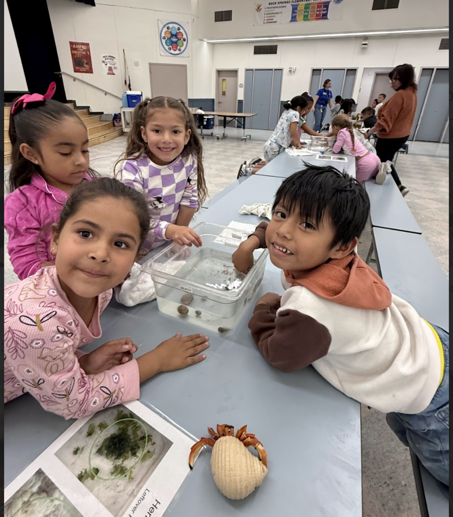 Birch Aquarium Kinder presentation 