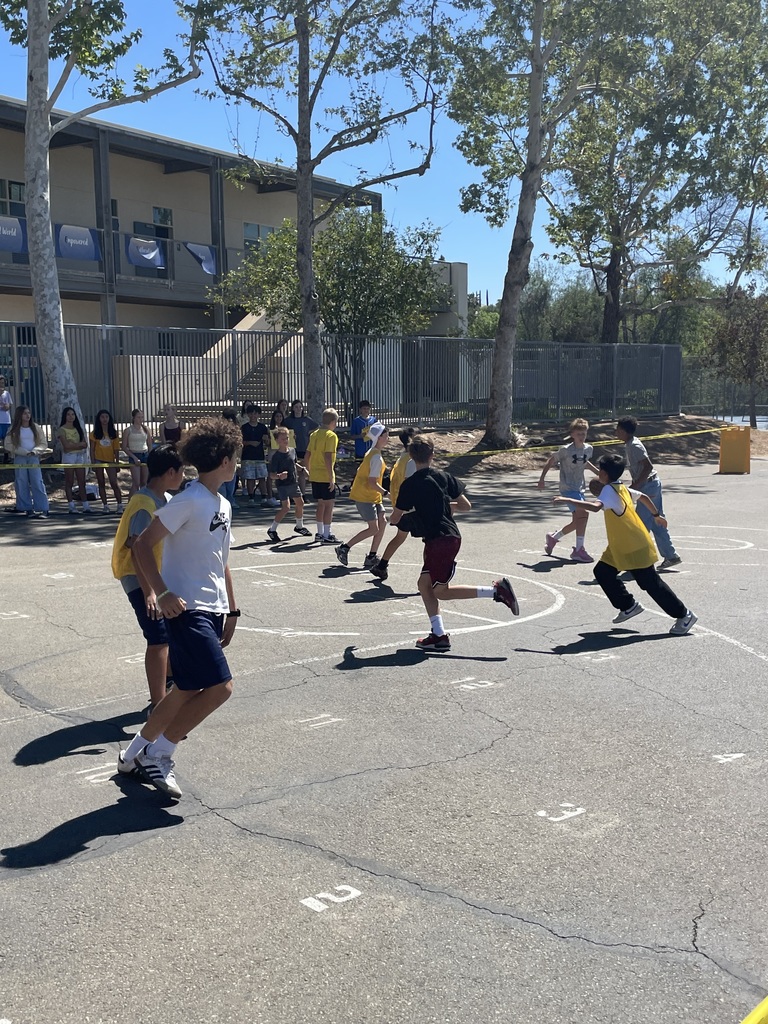 Students playing basketball