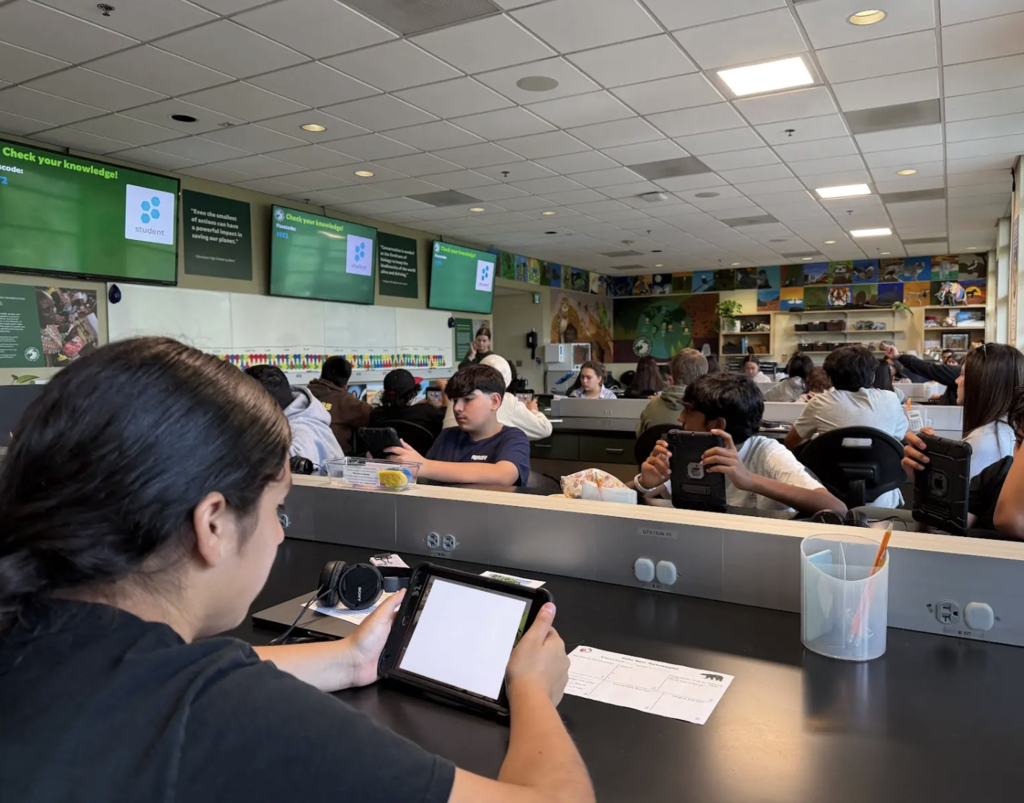 Students in the Safari Park field trip.