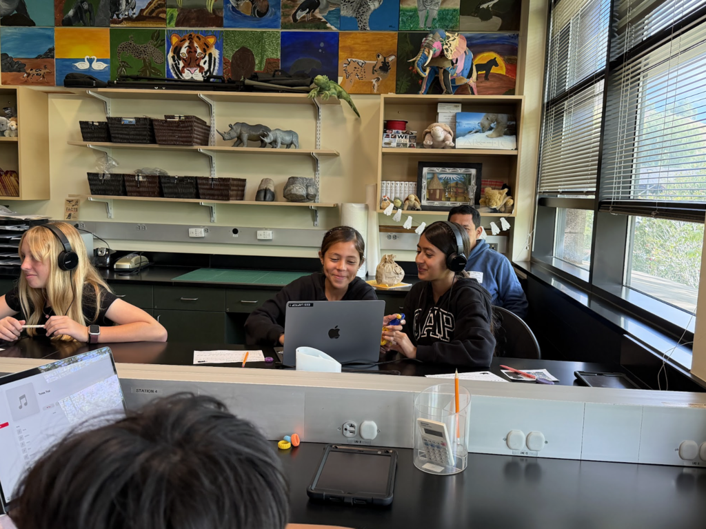 Students in the Safari Park field trip 