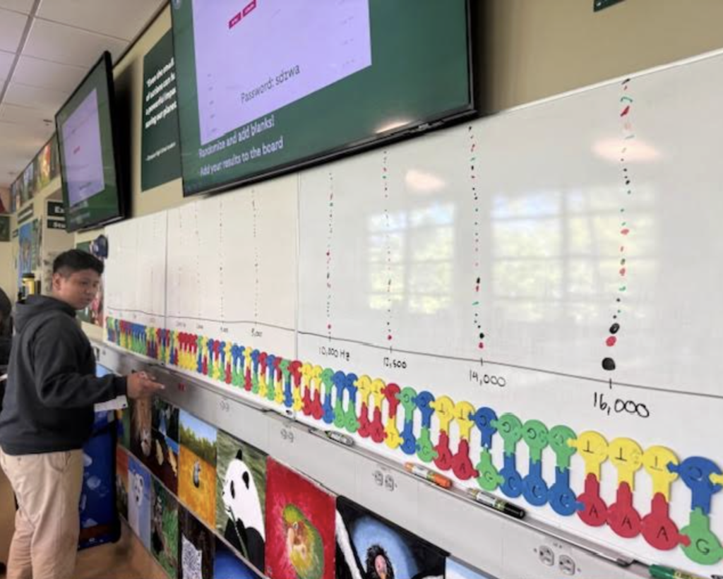  Student in the Safari Park field trip 