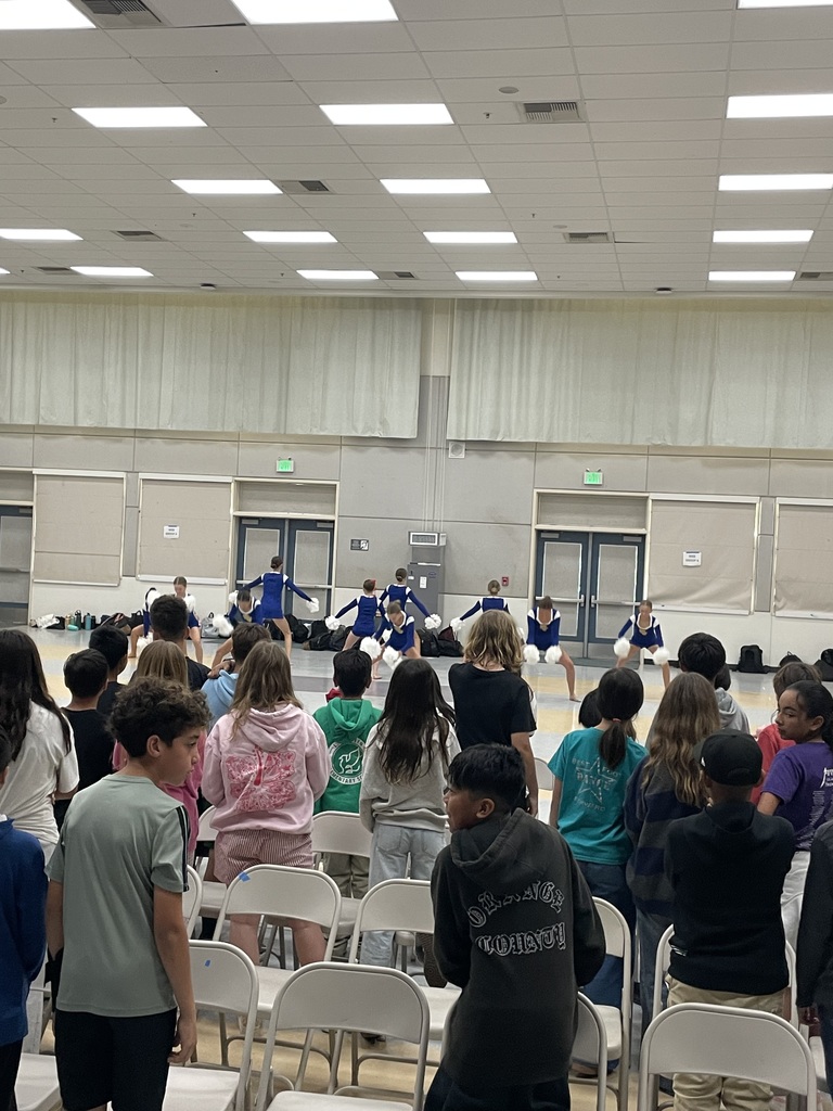 Students watching dance team perform
