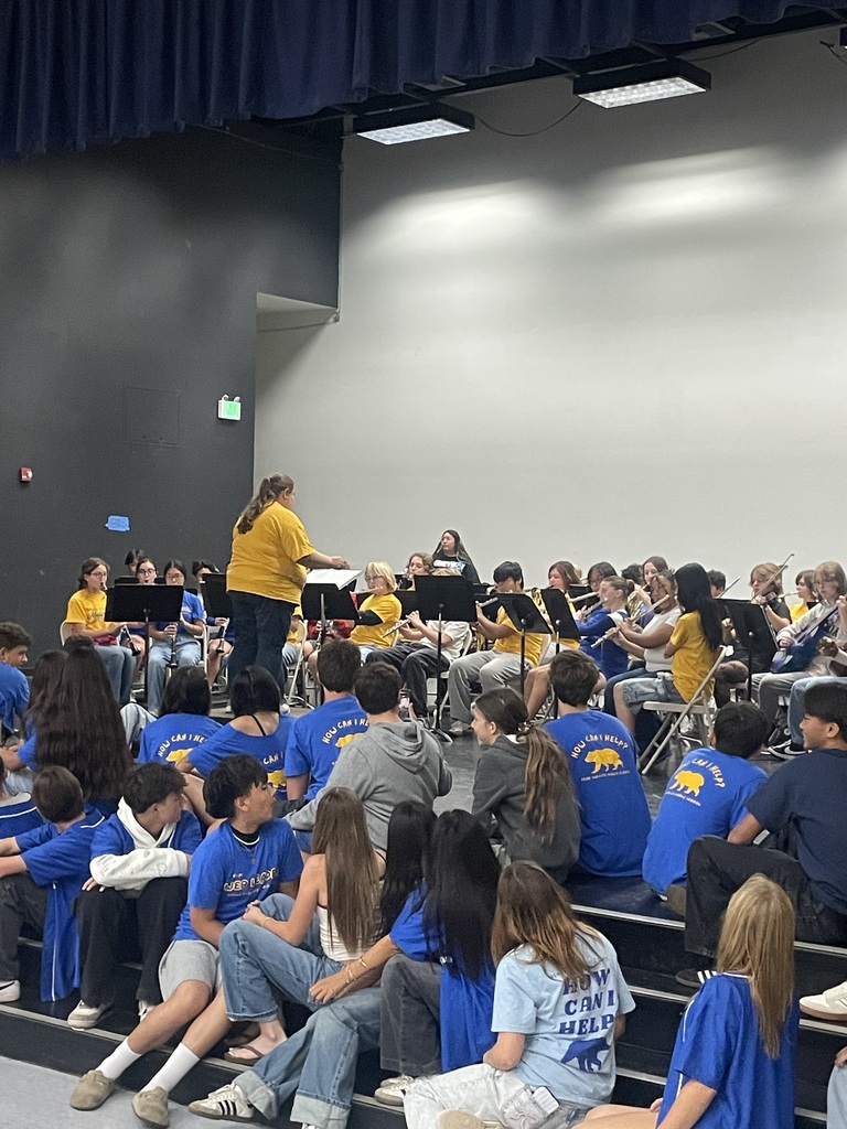 BVMS Band performing