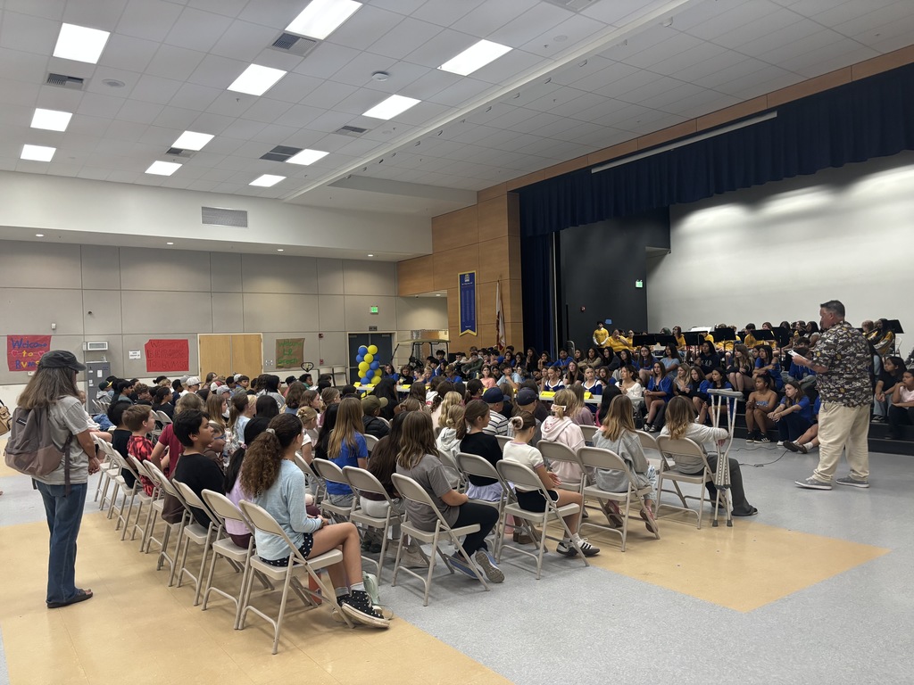 Students listen to panel of student speakers