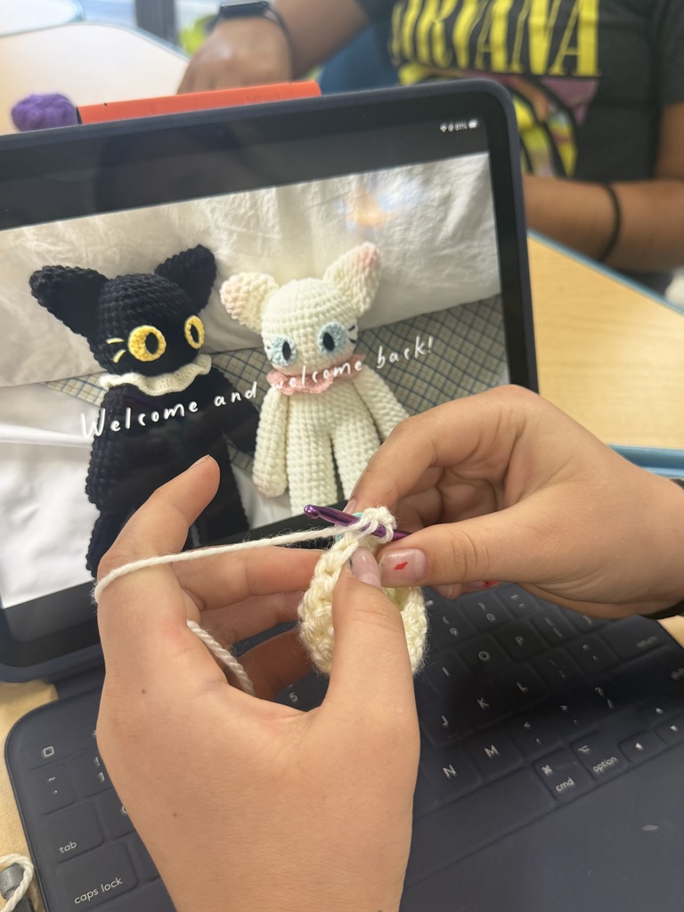 Student's Crochet Project