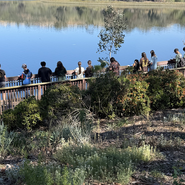 students releasing trout at Miramar lake.