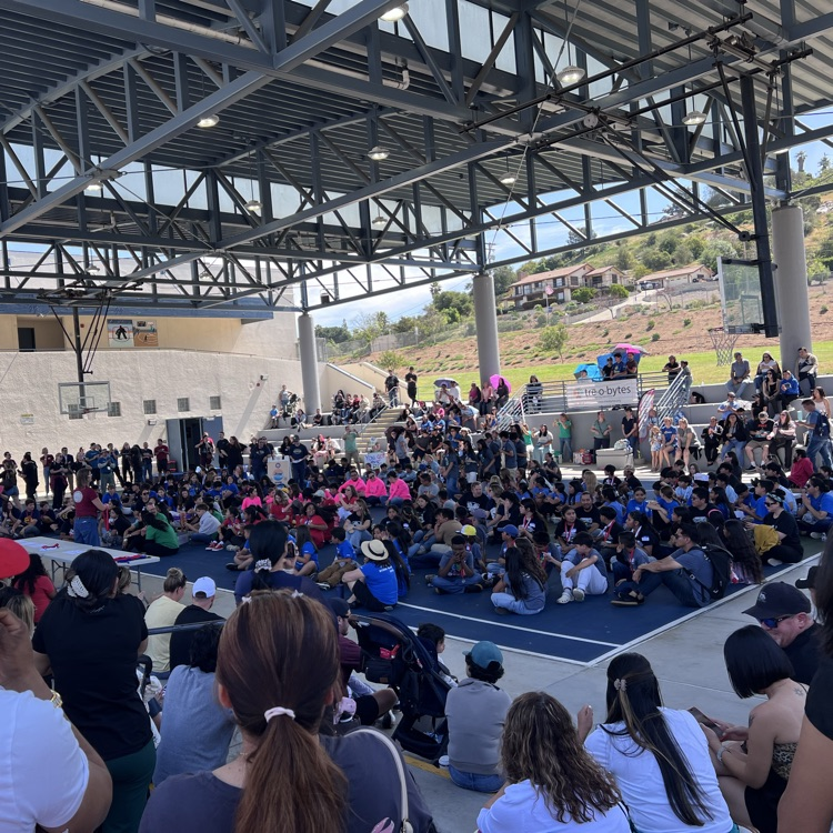 stem challenge at Rincon