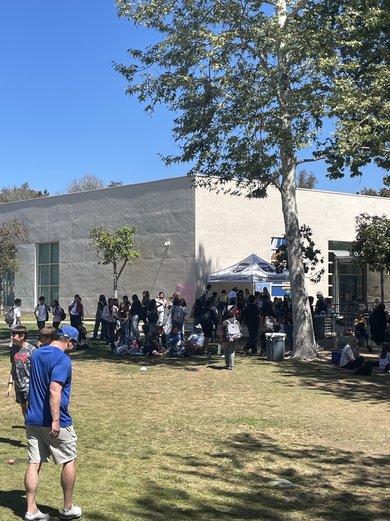 Families eating in quad area