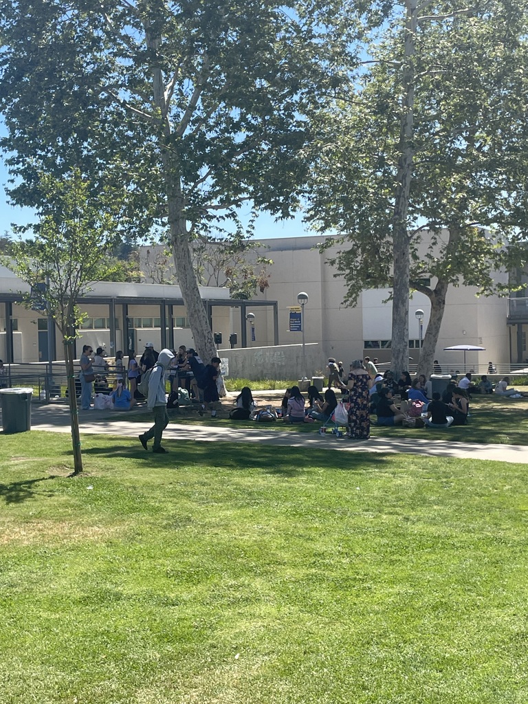Families eating in quad area