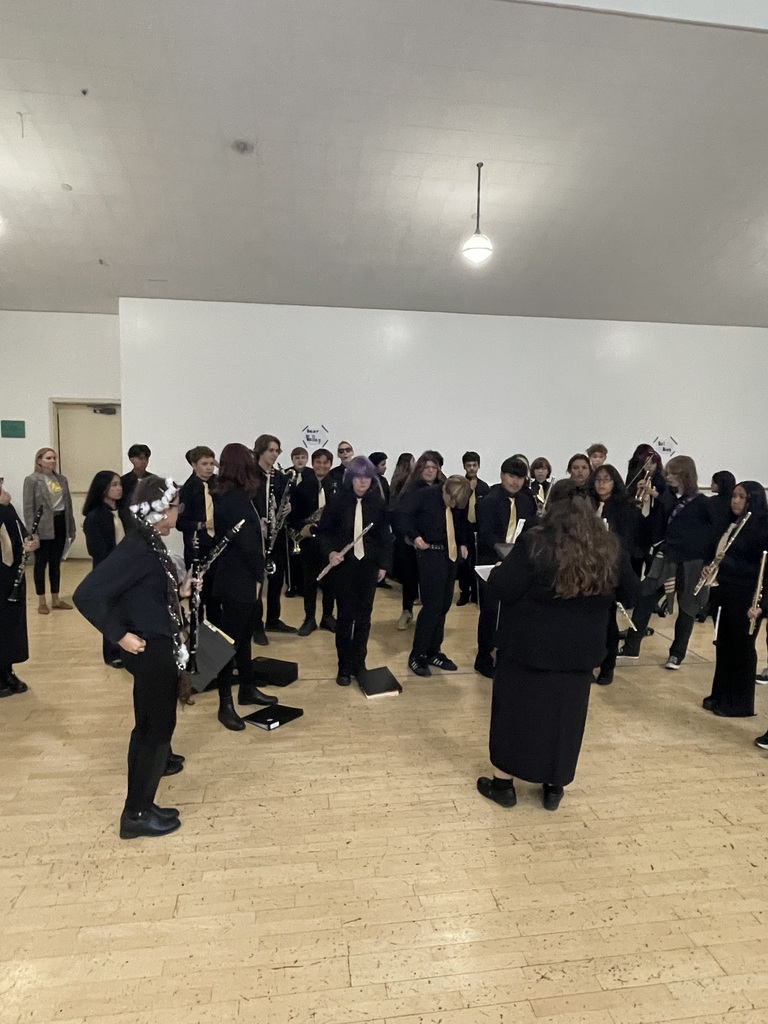 Band performers on stage