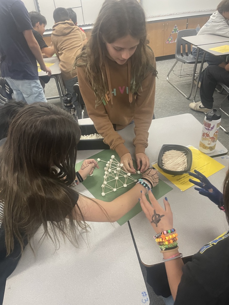 students building stem structures