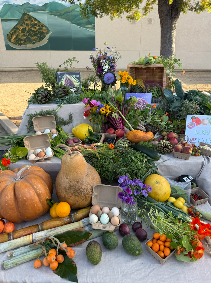 Bernardo Backyards Produce / pumpkins, pomelos, avocadoes, eggs peaches, papayas, various herbal plants