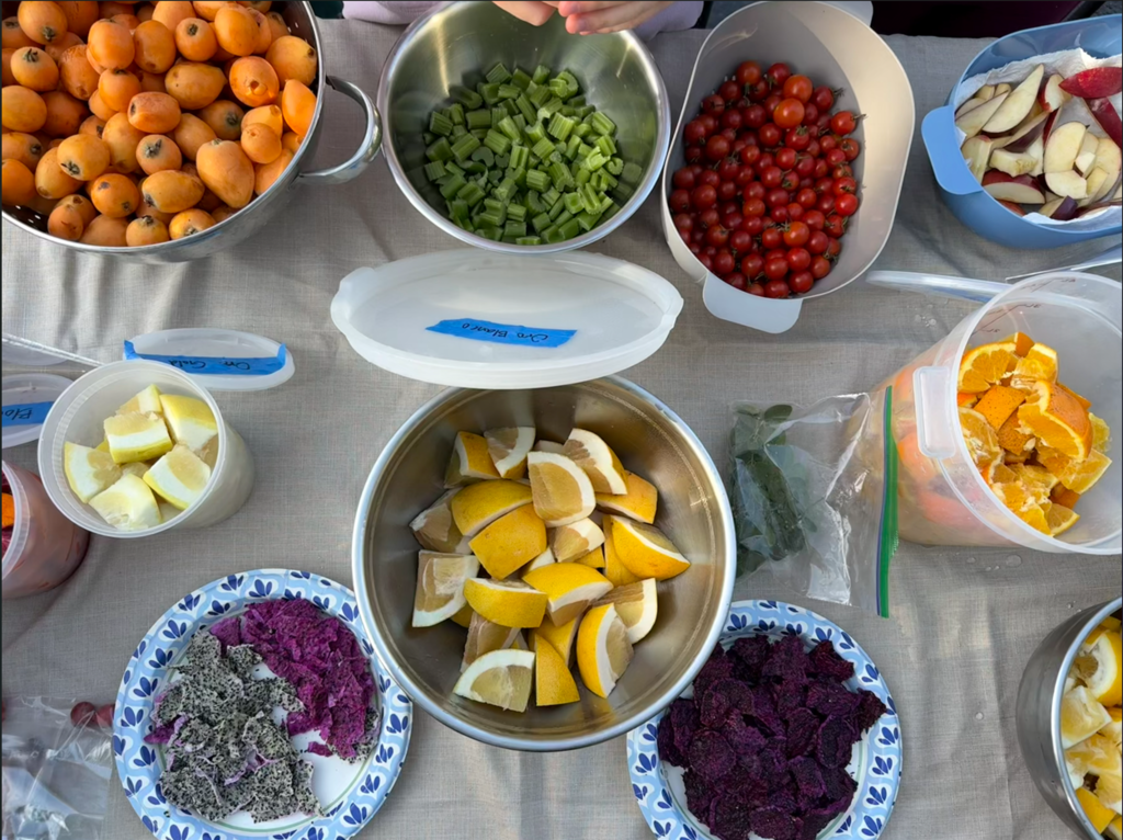 Bernardo Backyards Produce / various cut fruits & vegetables