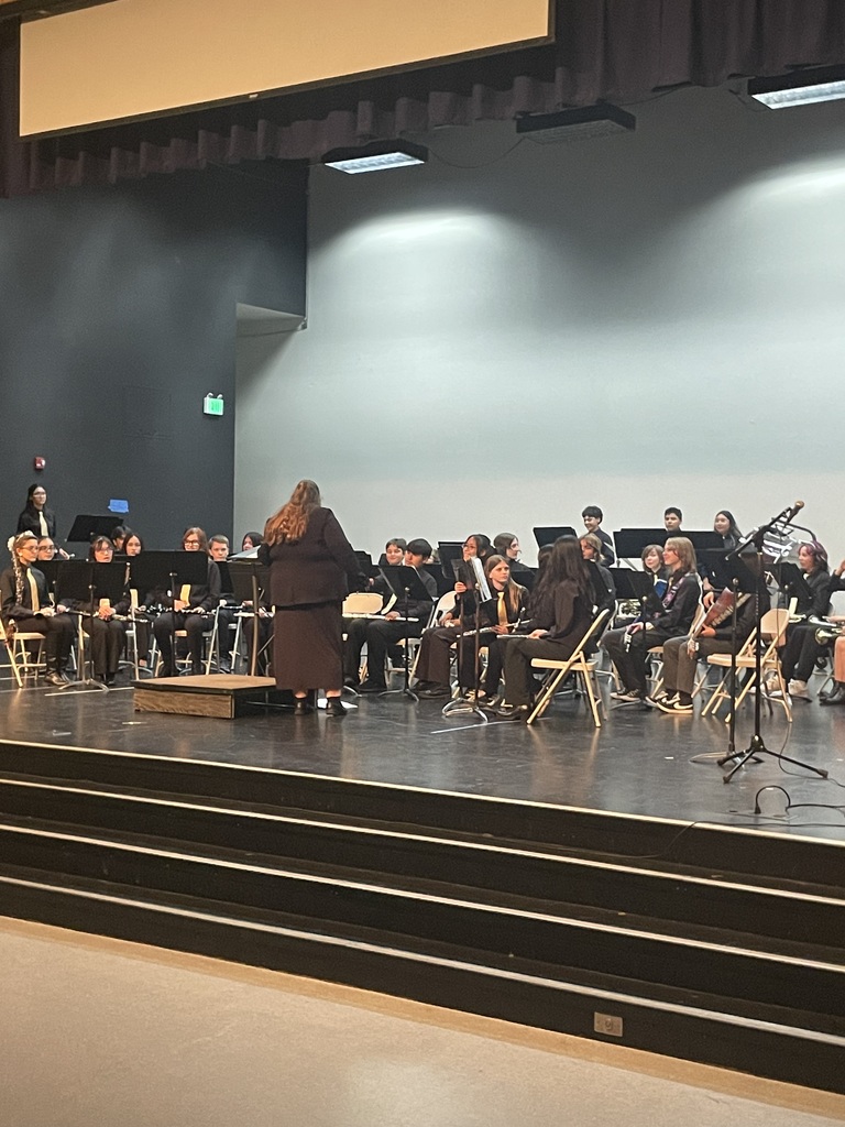 BVMS band on stage