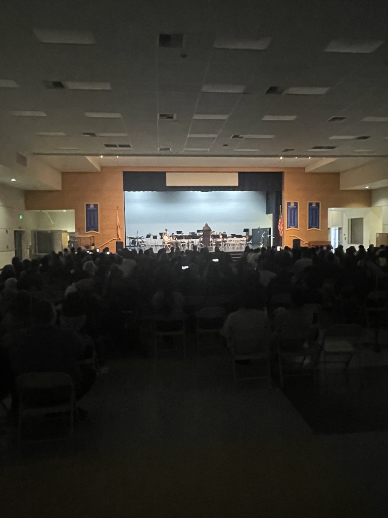 BVMS Band on stage