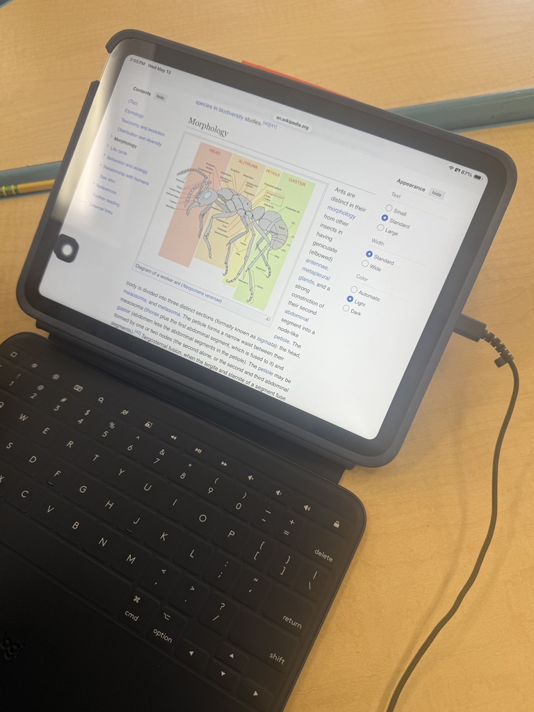 student's ant research