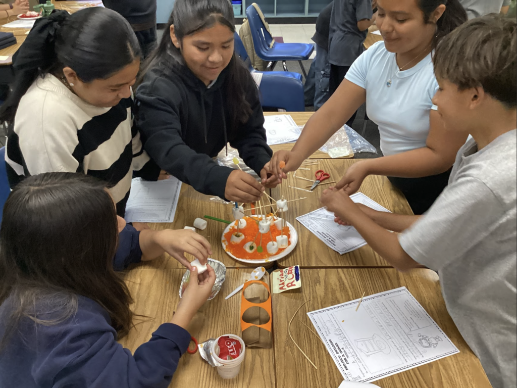 Students collaborating 