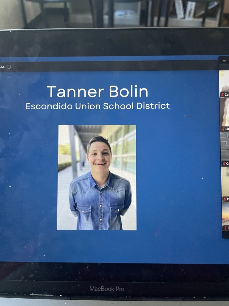 Picture of Mr. Bolin on computer screen