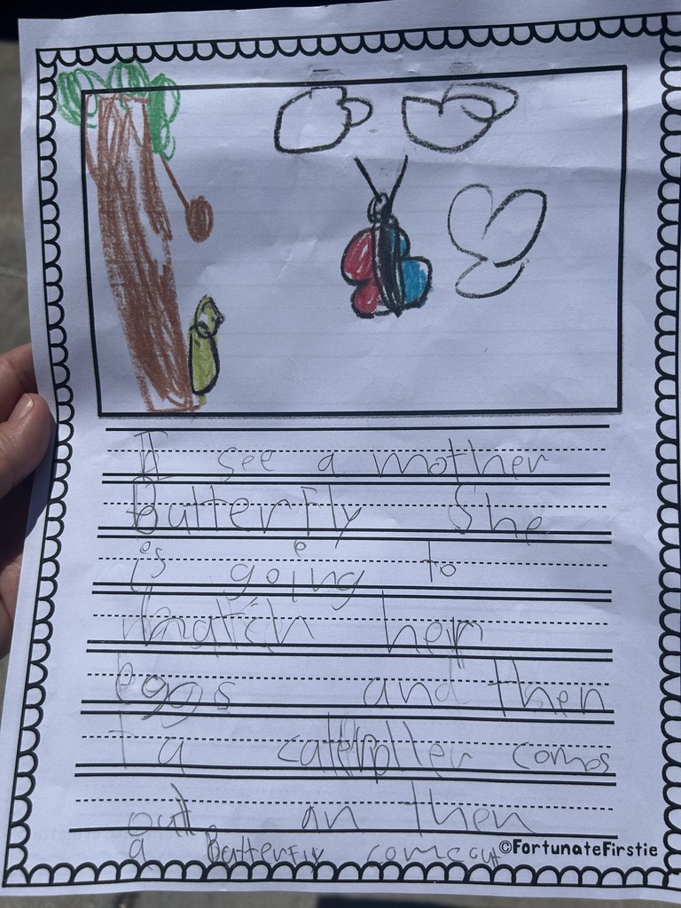 Student work being shown off