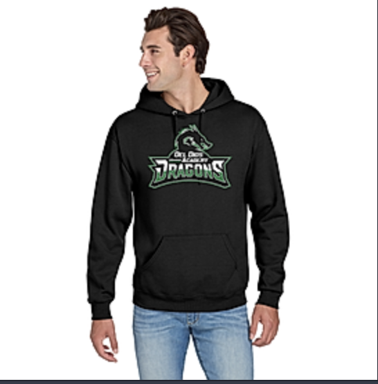 DDAAS  hoodie