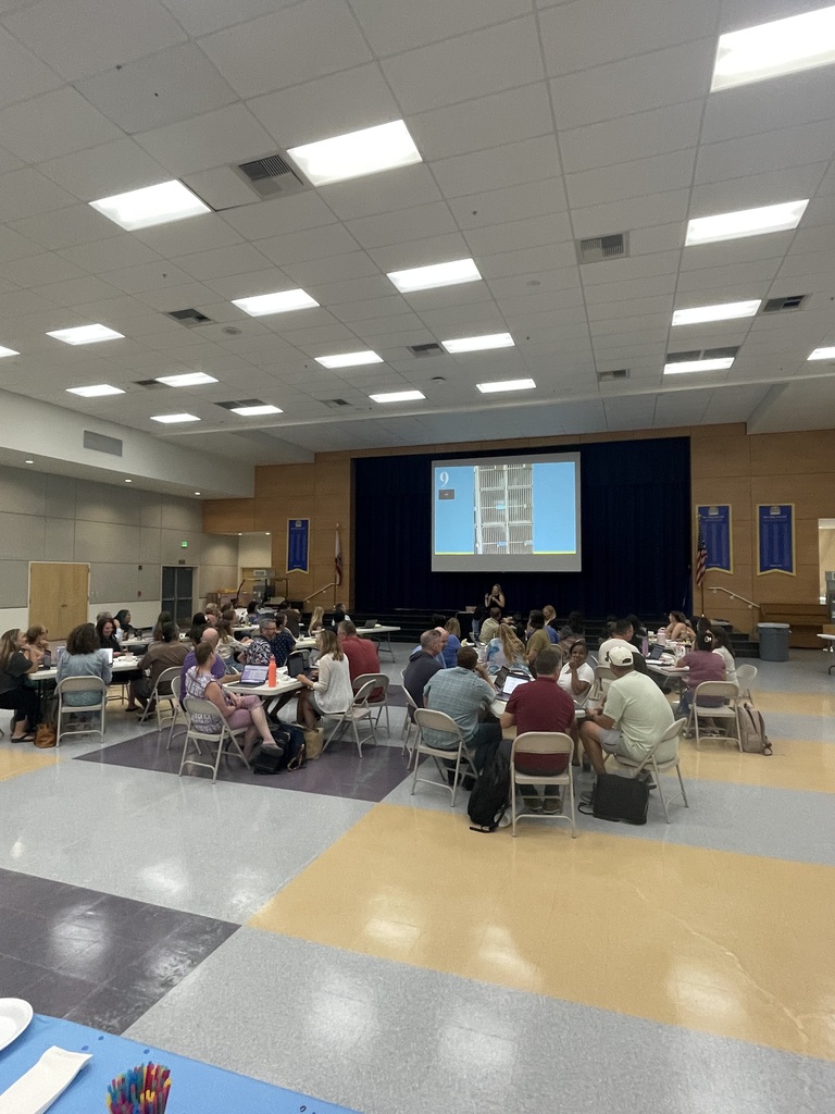 BVMS Teachers taking part in PD