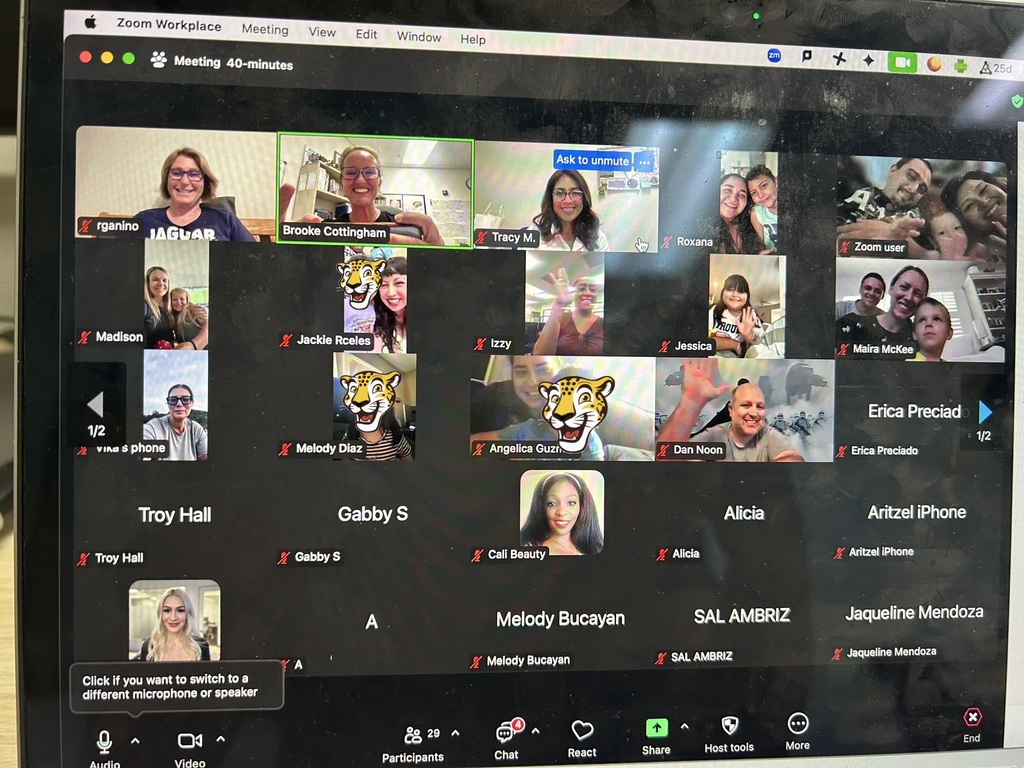 A Zoom video conference with multiple participants, including individuals smiling and waving, and fun filters like a tiger graphic.