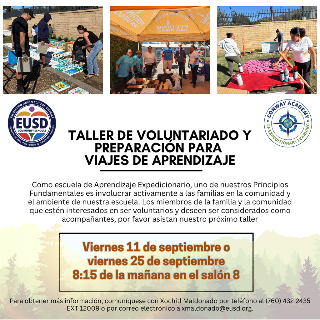 Volunteer Workshop & Fieldwork Training flyer in Spanish