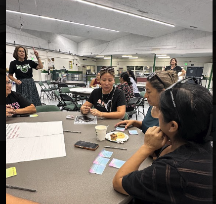Parents share their ideas 