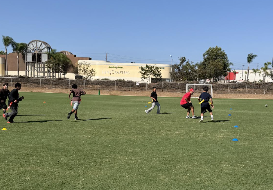 Flag Rugby