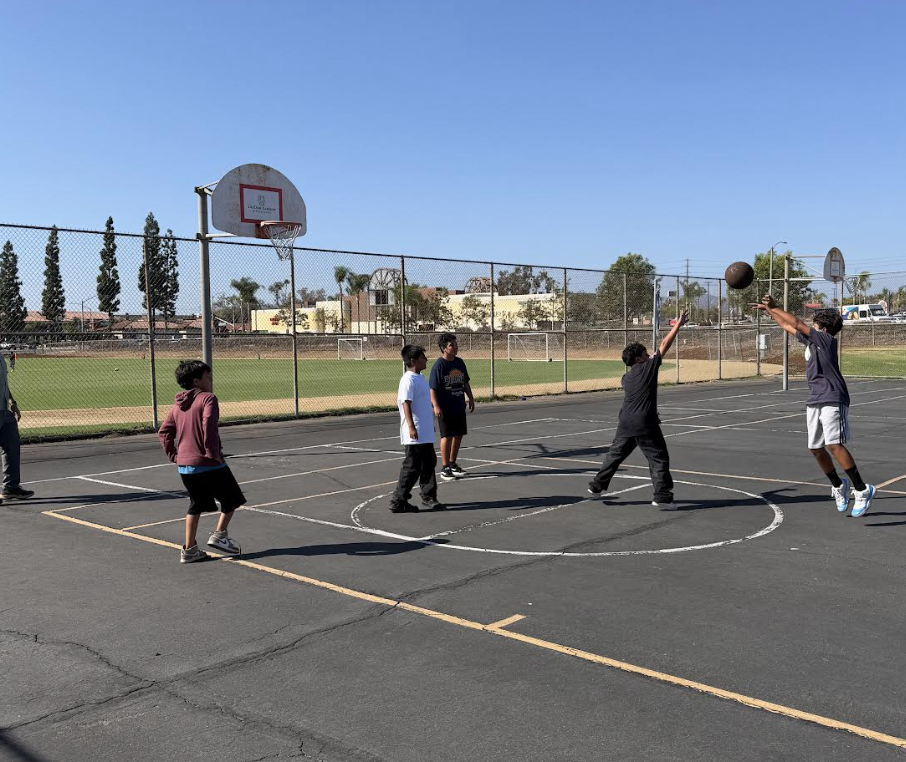Basketball