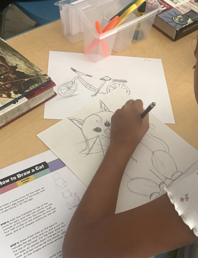 student drawing a cat