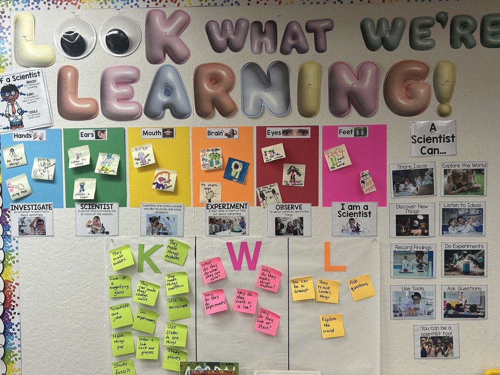 Colorful classroom inquiry wall about scientists, featuring body-part illustrations, student notes, science vocabulary cards, and activities scientists can do.